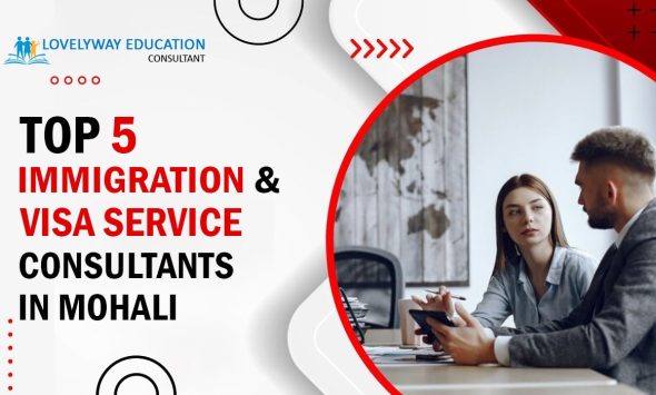 Top 5 immigration and visa service consultants in Mohali
