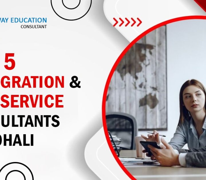 Top 5 immigration and visa service consultants in Mohali