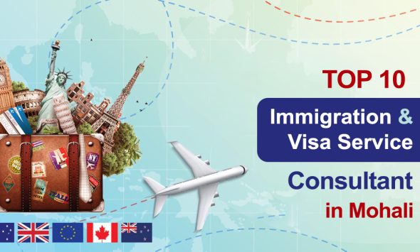 VISA CONSULTANT